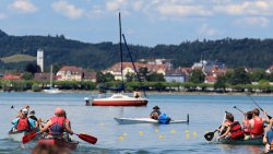 Vereinsmeisterschaft - Entenrennen
