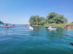 am Wollmatinger Ried