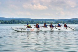 Halbmarathon Kandidaten